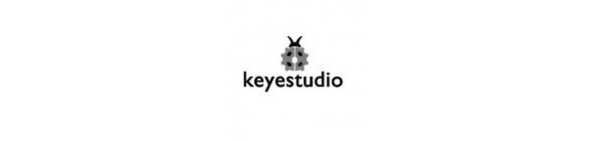 KeyeStudio