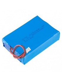 Polymer Lithium Ion Battery...